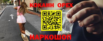 стафф Камышлов