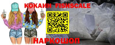 стафф Камышлов
