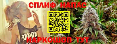 стафф Камышлов