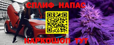 стафф Камышлов