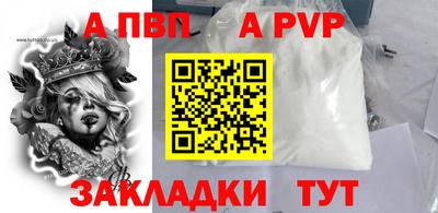 стафф Камышлов