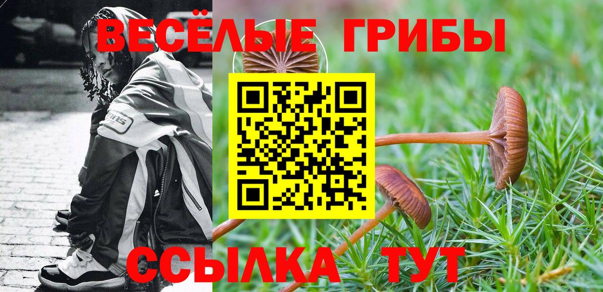 Галлюциногенные грибы Psilocybine cubensis Петровск